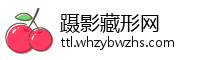 蹑影藏形网